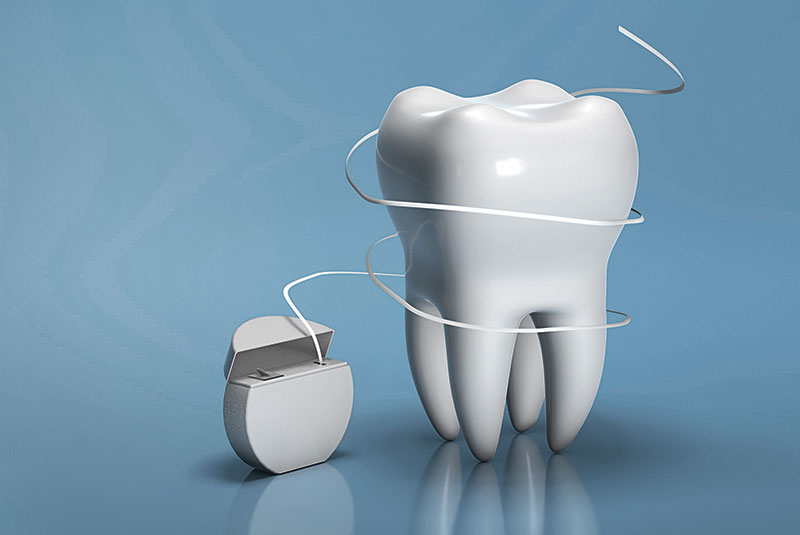 floss and tooth model